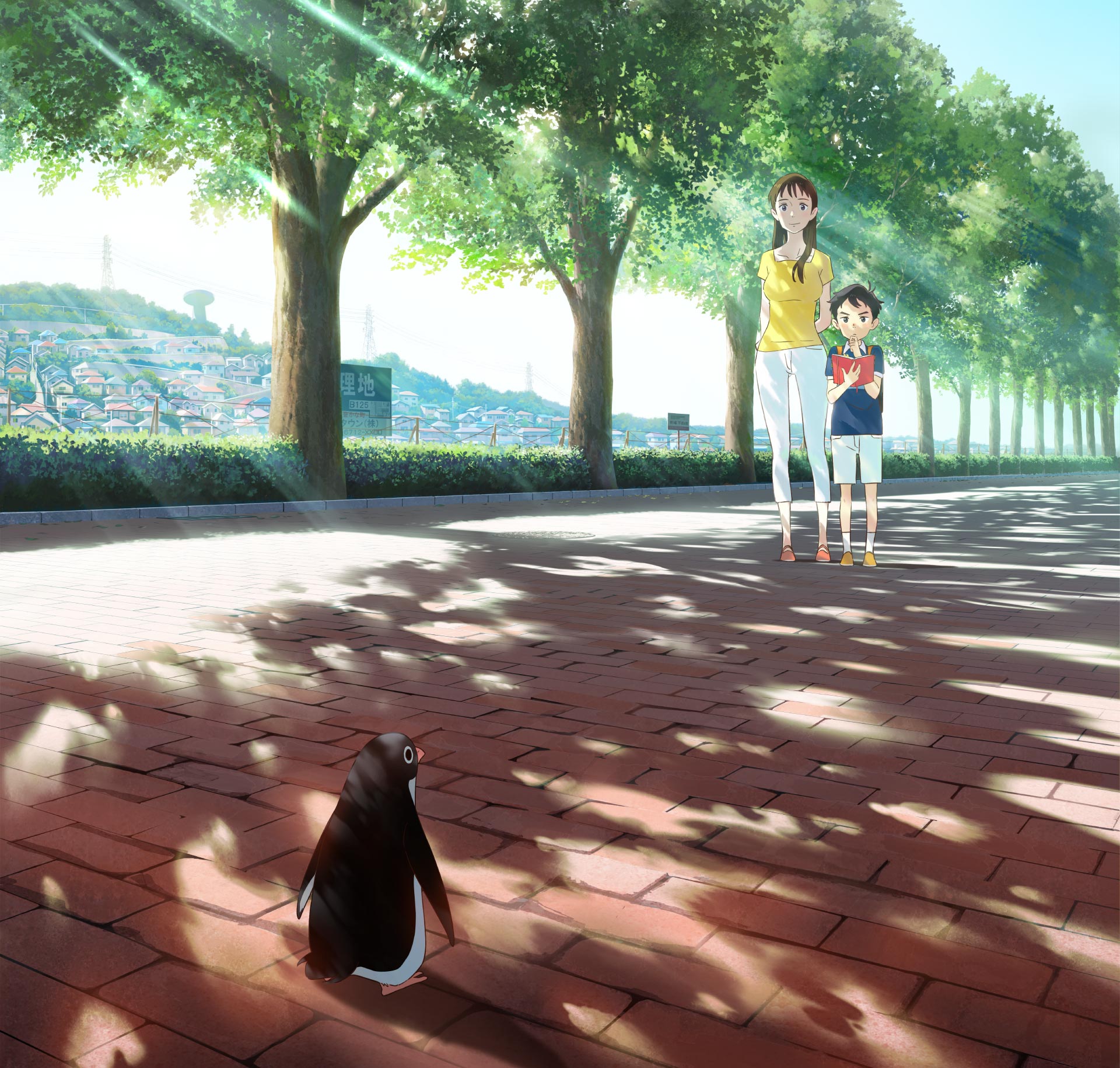 Penguin Highway – All the Anime