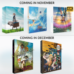 NEWSWIRE – November 2020 Releases Preview