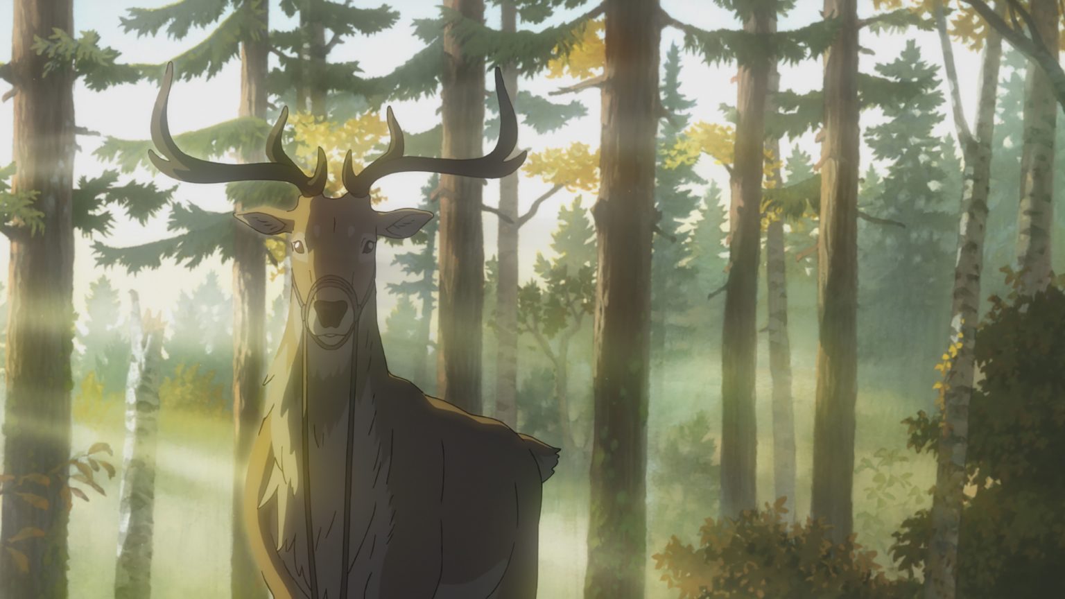 The Deer King – All the Anime